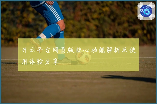 开云平台网页版核心功能解析及使用体验分享
