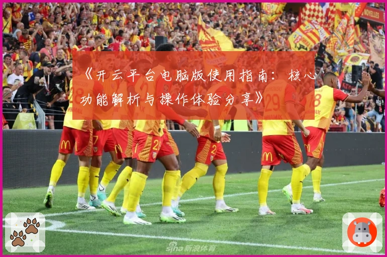 《开云平台电脑版使用指南:核心功能解析与操作体验分享》