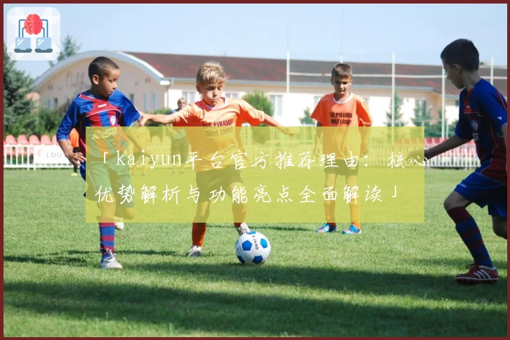 「kaiyun平台官方推荐理由：核心优势解析与功能亮点全面解读」